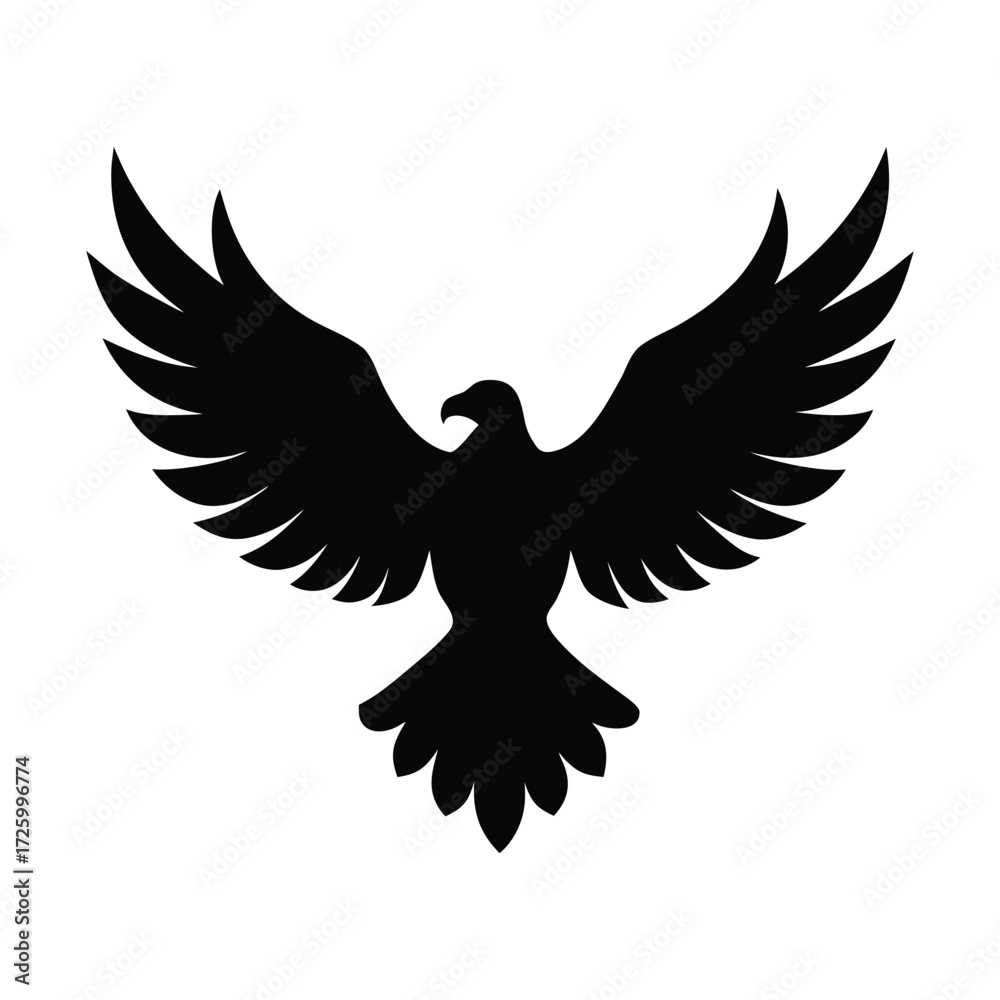 Obraz premium eagle in flight