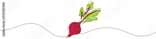 Beetroot in one line art style. Beetroot drawing with editable black stroke and color