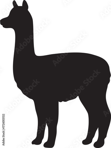 Black silhouette of a standing alpaca with a long neck isolated on white background silhouette