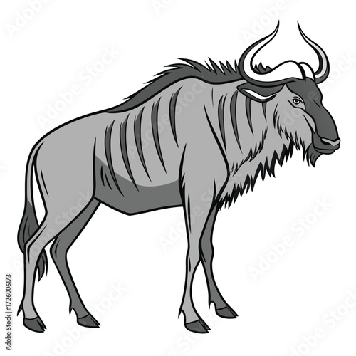 Grey Wildebeest Standing Profile View With Dark Mane And Horns Keywords: wildebeest, gnu, antelope, mammal