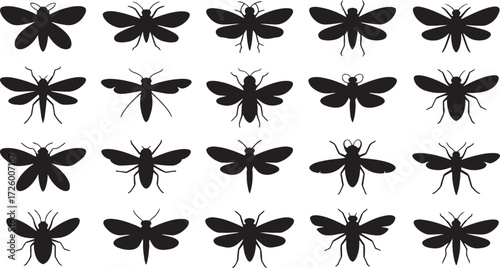 Collection of black insect silhouettes with wings and antennae on white background butterfly silhouette