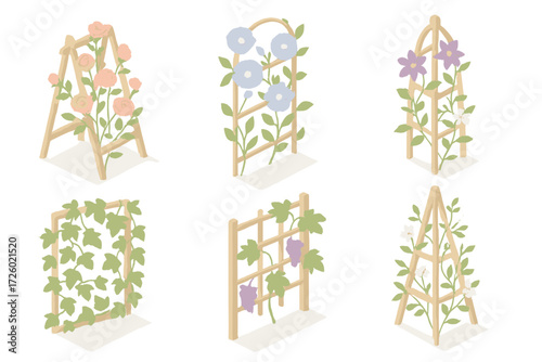 Trellis Plant Varieties. Isometric vector illustration set Trellis Plant Varieties: climbing rose on wooden trellis, morning glory