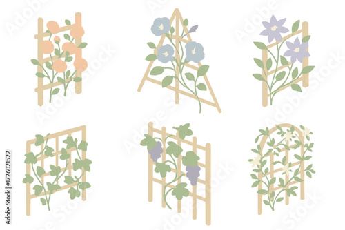 Trellis Plant Varieties. Isometric vector illustration set Trellis Plant Varieties: climbing rose on wooden trellis, morning glory
