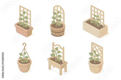Trellis Garden Icons. Isometric vector illustration set Trellis and Container Garden Pairings: vine growing from planter with