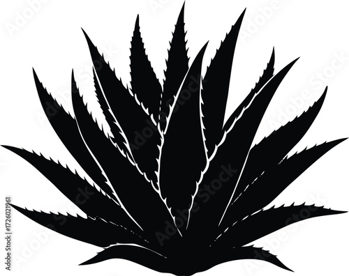 Aloe Vera Plant Silhouette | Herbal Botanical Vector Art