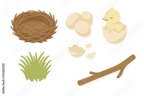 Eggs in Twig Nest. Isometric vector illustration set nest twig egg hatchling: detailed twig nest, eggs with slight speckles,