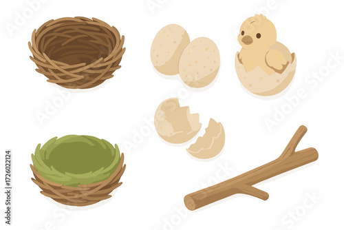 Eggs in Twig Nest. Isometric vector illustration set nest twig egg hatchling: detailed twig nest, eggs with slight speckles,