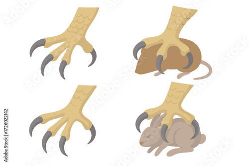Hawk Talons Gripping Prey. Isometric vector illustration set talons grip prey capture: hawk foot detailed, claws extended forward,
