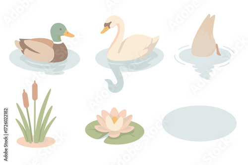 Waterfowl Pond Tranquility. Isometric vector illustration set waterfowl pond swim dive: mallard duck gliding, swan reflection