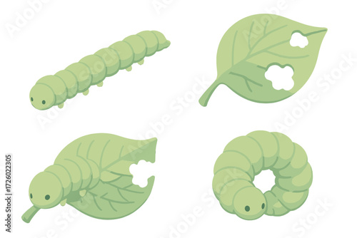 Caterpillar Leaf Munching. Isometric vector illustration set caterpillar crawl leaf munch: long caterpillar crawling, leaf with
