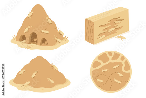 Termite Mound Illustration. Isometric vector illustration set termite mound wood decompose: mound with open entrances, termites