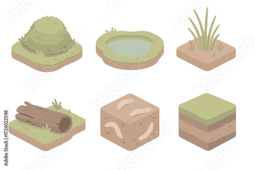 Bog Microhabitat Icons. Isometric vector illustration set Bog microhabitats: mossy hummock, open water pool, sedge patch, decayed