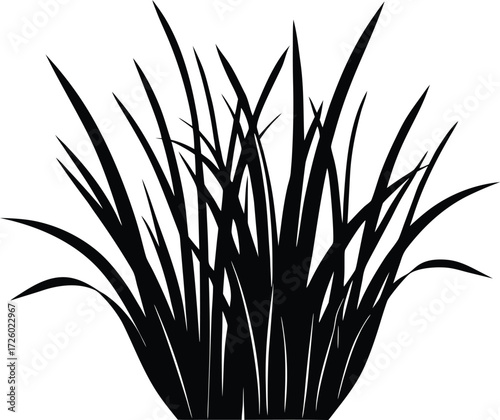 Lemongrass Silhouette | Herbal Botanical Vector Design