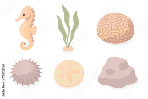 Marine Environment Icons. Isometric vector illustration set Marine environment: seahorse, kelp strand, brain coral, sea urchin,