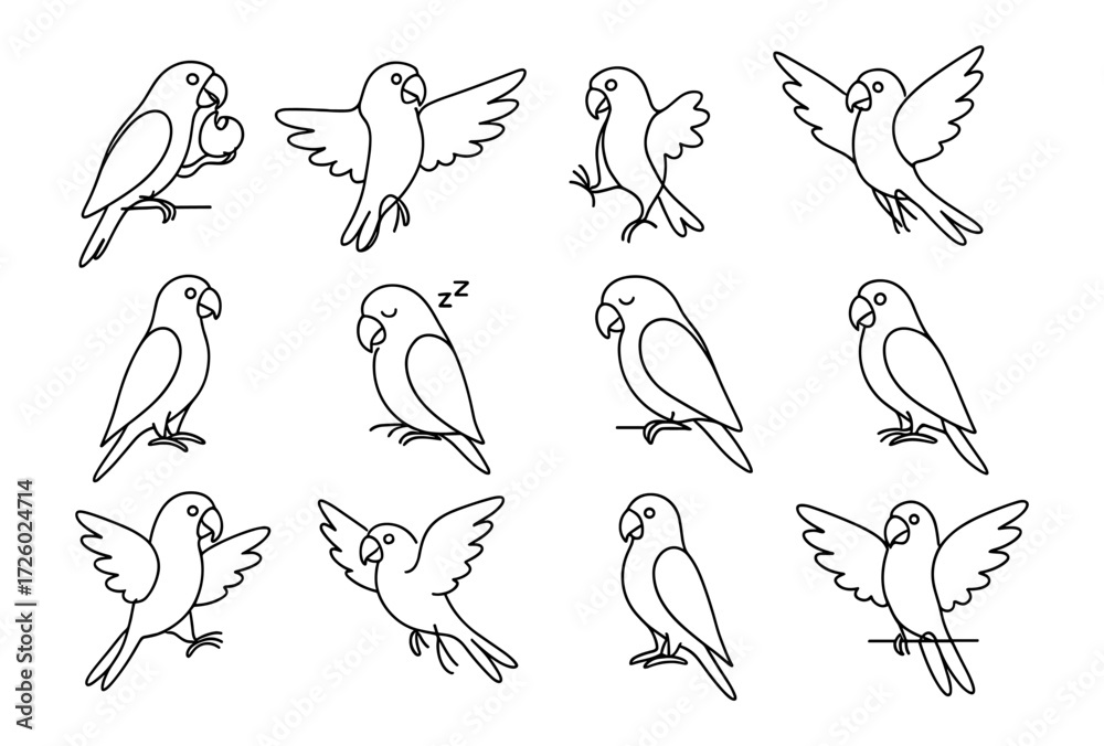 Fototapeta premium Cute parrot line art set: various poses and expressions