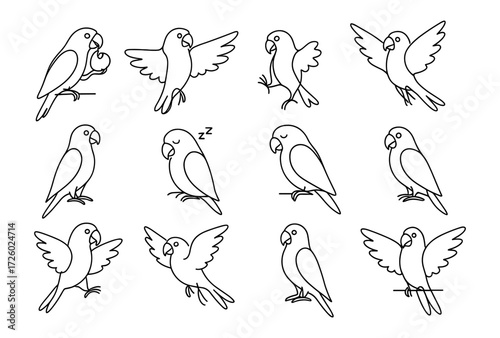 Cute parrot line art set: various poses and expressions