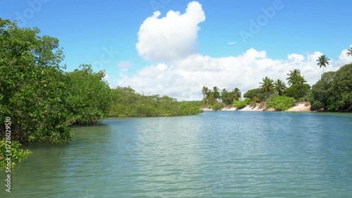 A serene river flows through a lush tropical landscape under a cloudy sky