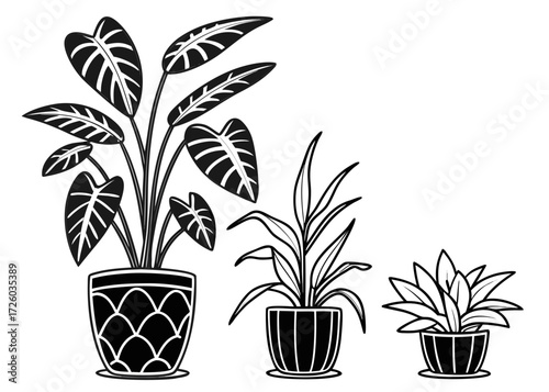 Three potted plants with different leaf shapes and pot designs in a black and white illustration style created with generated ai
