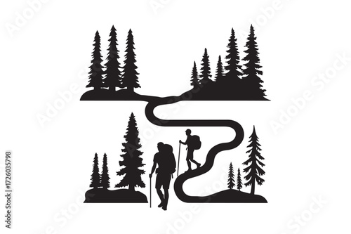 Hikers on a winding trail through a pine forest
