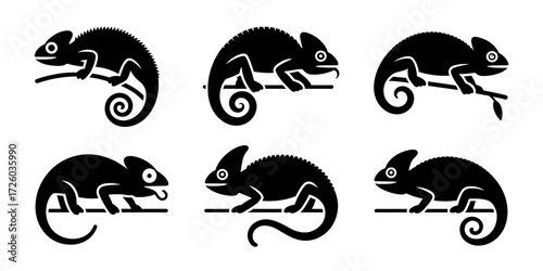 Chameleon vectors. Black silhouettes of lizards sitting on tree branches. 