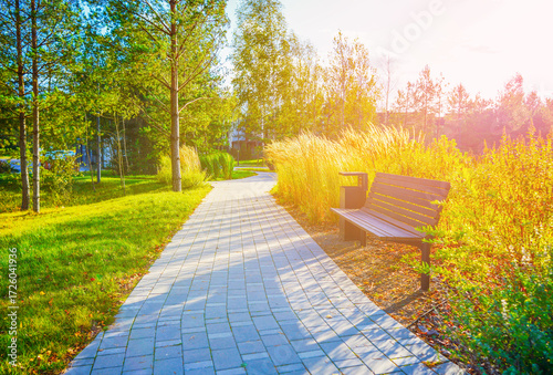 Pathway in Sunny Park With Wooden Bench, Tall Grass. Bright sunlight filters through trees in peaceful park, paved pathway leads past lush greenery and bench for relaxation. Public space landscaping.
