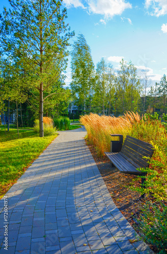 Pathway in Sunny Park With Wooden Bench, Tall Grass. Bright sunlight filters through trees in peaceful park, paved pathway leads past lush greenery and bench for relaxation. Public space landscaping.