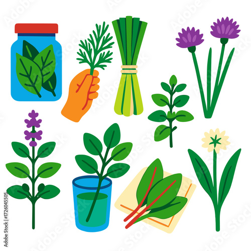 Culinary Herb Icons. Flat vector icons of culinary herbs: dried bay leaves in jar, fresh dill in hand, lemongrass bundled with