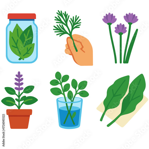 Culinary Herb Icons. Flat vector icons of culinary herbs: dried bay leaves in jar, fresh dill in hand, lemongrass bundled with