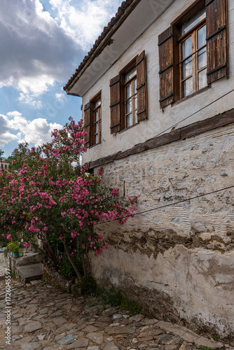 Turkey - Sirince - Quaint cobblestone alleyway