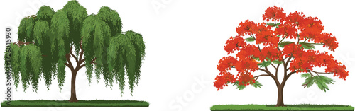 ree, foliage, blossom, seasonal, nature, landscape, vector, illustration, green, red, leaves, trunk, contrast, growth, concept, design, summer, spring, flora