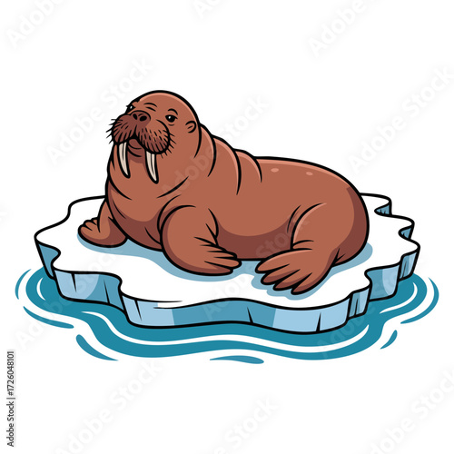 Vector illustration design of walrus on ice floe isolated arctic animal drifting frozen water marine mammal element for wildlife visuals