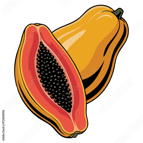 Vector illustration of abstract cartoon papaya fruit isolated tropical food design healthy exotic ingredient flat style white image