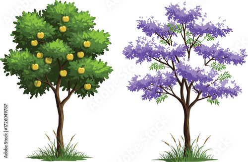 Green apple tree full of fruits and purple blooming tree in natural garden landscape illustration, seasonal foliage botanical background design