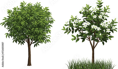 Green avocado tree with dense leaves and blooming apple tree with white flowers in natural garden orchard, organic farming illustration nature