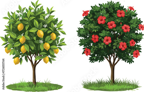 Lemon tree with ripe yellow fruits and hibiscus tree with red flowers in natural garden orchard, organic farming illustration nature