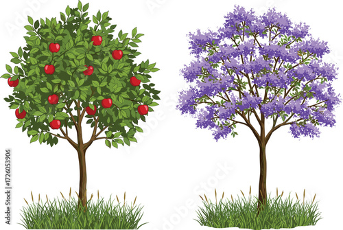 Red apple tree with ripe fruits and purple flowering tree in natural garden landscape illustration, seasonal foliage botanical design background