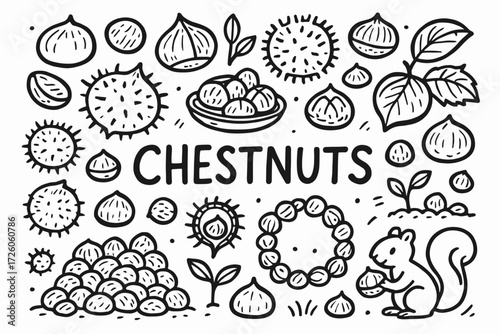 Chestnut, nut collection outline icon set. autumn, harvest, squirrel themed icons