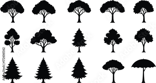 Tree silhouette grid, foliage shape, plant outline, nature icon, botanical design, umbrella anomaly, vector illustration, minimal style, reference, contrast