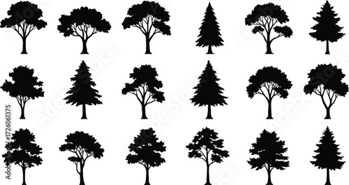 Tree silhouette, foliage shape, botanical design, nature icon, forest element, plant outline, vector illustration, species reference, black and white
