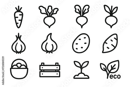 Root Veggie Icons. Basic root veggies icons in outline style: carrot, beet, radish, turnip, onion, garlic, potato, sweet potato, basket, crate,