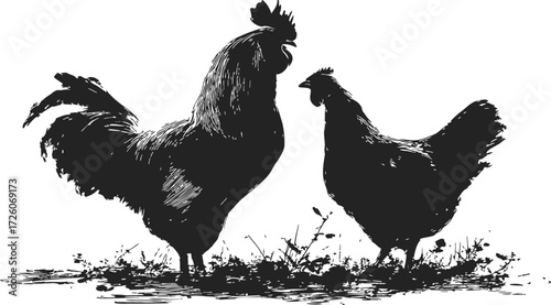 Rooster and hen sketch hand drawn silhouette on grass — stock vector