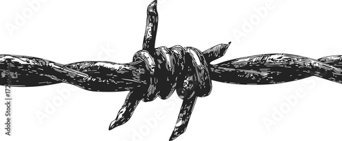 Barbed wire sketch hand drawn close up isolated on white background — stock vector