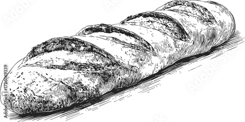 Baguette sketch hand drawn style with rustic crust and scoring details — stock vector