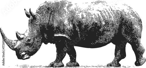 Rhinoceros sketch hand drawn side view detailed black and white illustration — stock vector