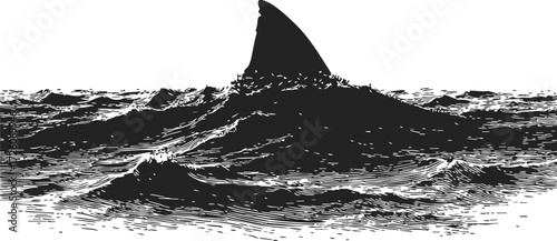 Shark fin sketch, hand drawn style, dorsal fin above ocean waves — stock vector