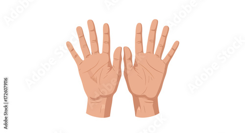 Two open human hands, palms facing forward, showing detailed skin texture and finger structure.