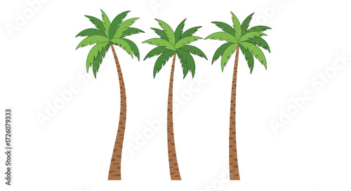Three tall palm trees with green fronds against a white background.