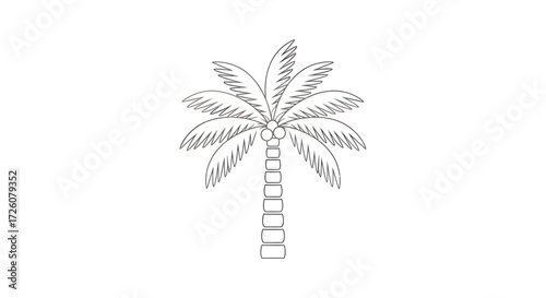 Detailed line art illustration of a tropical palm tree with coconuts, depicted in a simple, stylized black and white drawing.