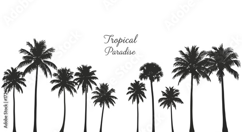 A collection of silhouetted palm trees against a white background, with the words "Tropical Paradise" written above.
