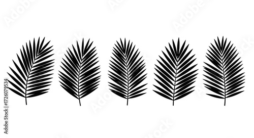 A row of five black palm fronds against a white background, presented in a simple, graphic style.